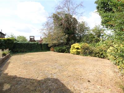 Picture 25